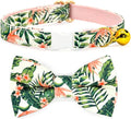 Bow Tie Cat Collar Set, Wedding/Birthday Gift for Cat, Summer Strelizia Flower Floral, Cat Accessories