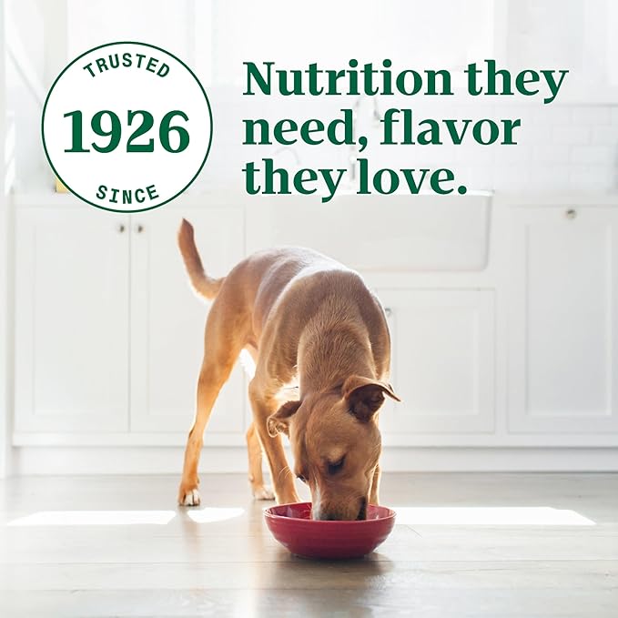 Nutro Ultra Wet Dog Food Grain Free Filets, Adult Dog Food Wet Recipe in Gravy Beef & Deluxe Chicken Variety Pack, 3.5 oz. Trays (12 Count, Pack of 1)