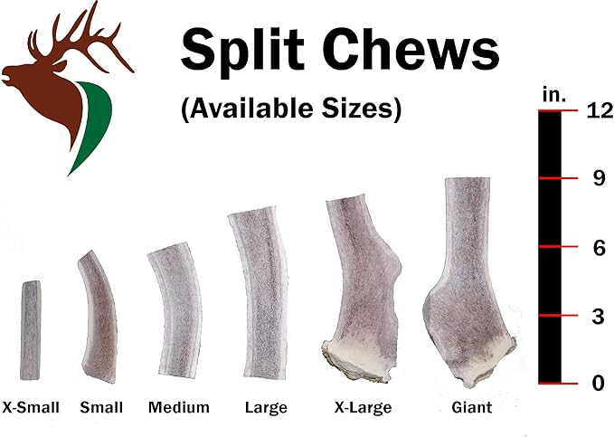 Large Split Single Pack (for 30-50 lb Dogs) Premium Grade Elk Antler for Dogs (1 Piece) Sourced in The USA