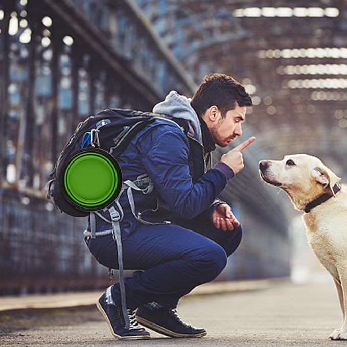 Guardians Large Collapsible Dog Bowls, 34oz Travel Water Food Bowls Portable Foldable Collapse Dishes with Carabiner Clip, 2 Pack (Green+Blue)