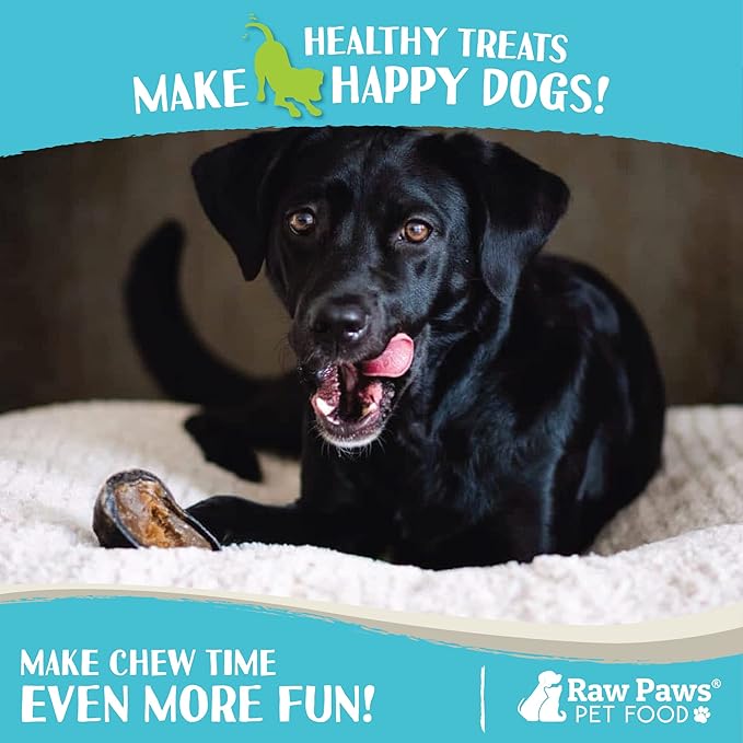 Raw Paws Filled Cow Hooves for Dogs - Bacon & Cheddar Flavor, (5-Count) Free Range Cow Hooves Stuffed Cheese Chew - Stuffed Hoof Dog Chews Treats - Cheese Dog Treats, Bacon Chew