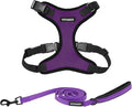Best Pet Supplies Voyager Step-in Lock Pet Harness w Reflective Pet Leash Combo Set with Neoprene Handle 5ft - Supports Small, Medium and Large Breed Puppies/Cats - Purple/Black Trim, L