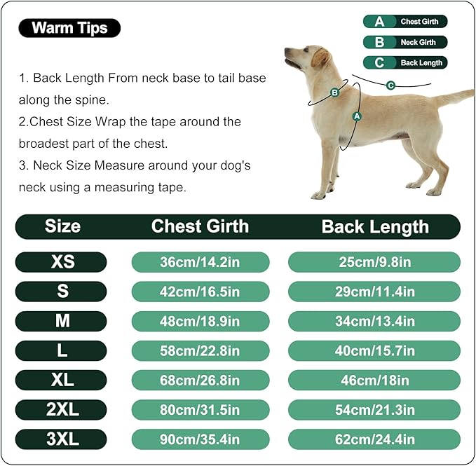Nanaki Puppy Hoodies Dog Sweatshirts for Small Dogs-Cozy Fleece Sweater Pullover with Pocket for Bichon Frise, Warm Long Sleeve Chihuahua Jacket- Fall Winter Early Spring Indoor Outdoor Green, S