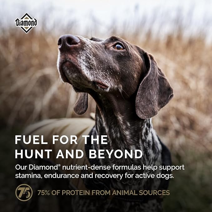 Diamond Premium All Life Stages Dry Dog Food 26/18 for Active, Athletic & Sporting Dogs 20lb Bag