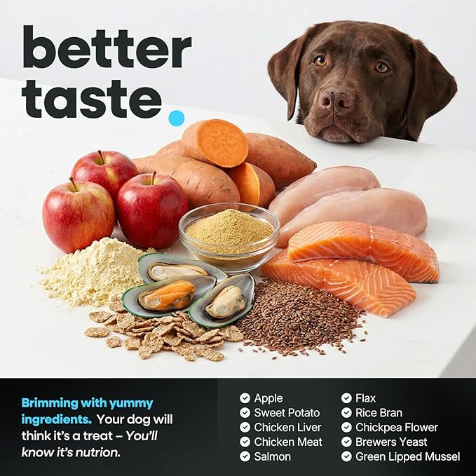 Dog Hip and Joint Supplement with Glucosamine, Chondroitin, MSM, Omega 3s, Green Lipped Mussel – Premium Dog Joint Chews w/Human-Grade & Natural Ingredients, 120 Count
