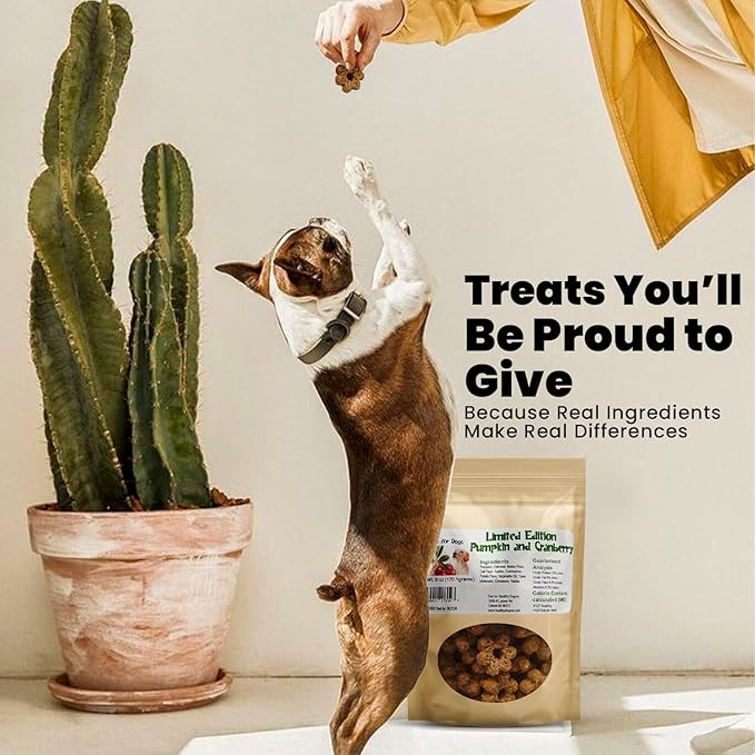 Healthy Dogma Pumpkin, Cranberry & Apple Dog Treats | Warm Fall-Inspired Flavors | All-Natural, Wholesome Ingredients | No Fillers or Preservatives | Tasty & Nutritious Dog Snacks (24 oz (1 lb 8 oz))