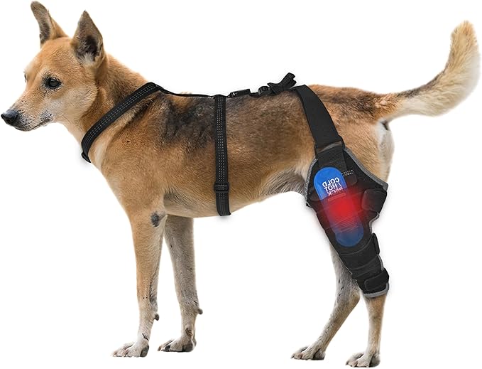 Dog Knee Brace for Back Leg - Adjustable Breathable Canine Leg Wrap with Hot & Cold Gel Packs - Supports Large & Medium Dogs with Arthritis, Hip Dysplasia, ACL Injuries, Left Hind Leg (M)