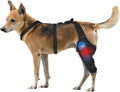 Dog Knee Brace for Back Leg - Adjustable Breathable Canine Leg Wrap with Hot & Cold Gel Packs - Supports Large & Medium Dogs with Arthritis, Hip Dysplasia, ACL Injuries, Left Hind Leg (M)