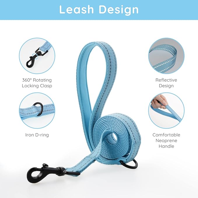 BELLA & PAL Step in Vest Harness for Small and Medium Dogs, No Pull Small Dog Harness with Leash Set, Comfortable Air Mesh Dog Vest Harness with Reflective Strip (Sky Blue, XS)