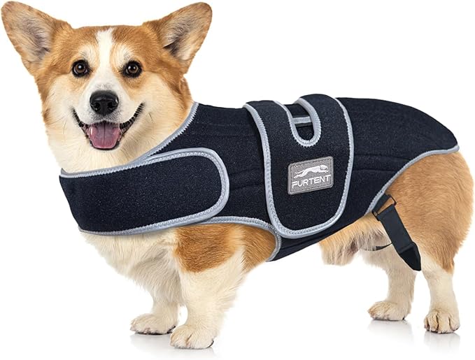 IVDD Back Brace for Dogs – Adjustable Medium Spinal Support Harness for Corgi, Beagle and Similar Breeds (Medium)