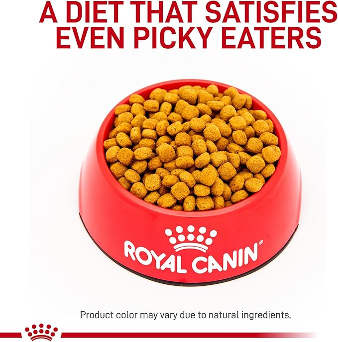 Royal Canin Veterinary Diet Canine Gastrointestinal Low Fat Adult Dry Dog Food, 1.5 lb Bag