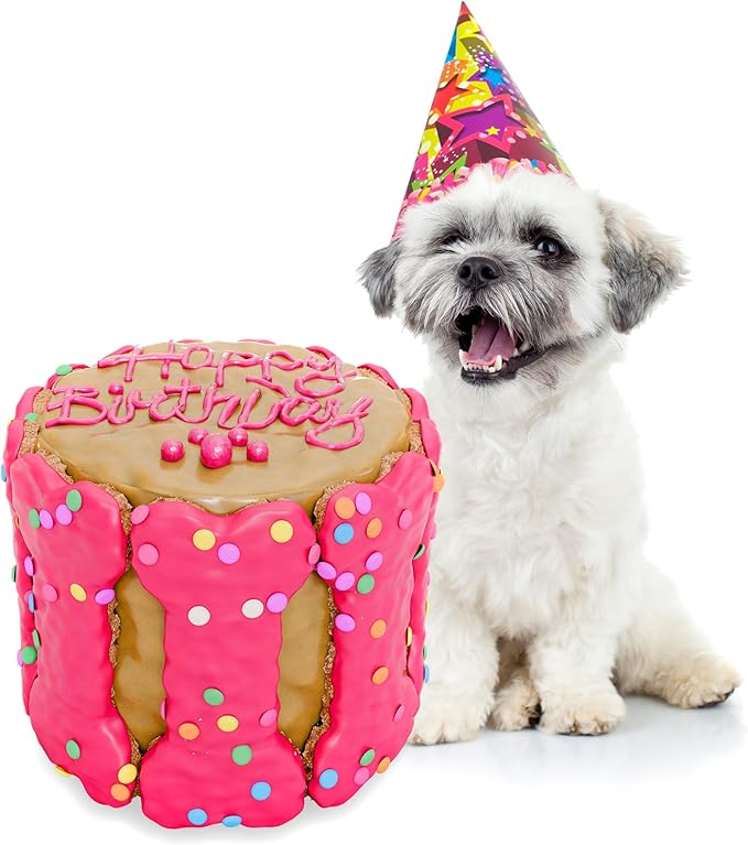 Dog Birthday Cake - Rice Cake Dessert for Dogs, Made with Human Grade Ingredients - Happy Birthday Treat for Puppy (5"x5"x5", Pink)