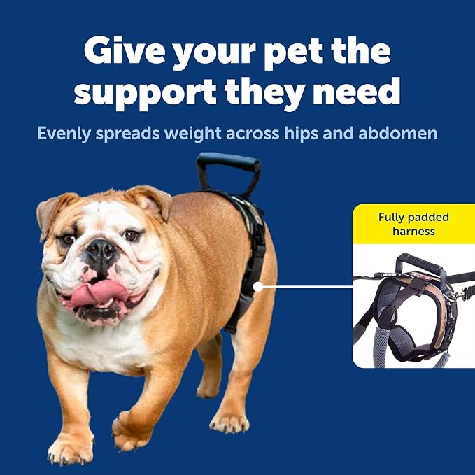 PetSafe Adjustable Dog Lifting Harness - Senior & Disabled Dog Rear Mobility Support - Easy-Fitting, Breathable Belly Straps with Lifting Aid Handle & Shoulder Strap - For Medium Dogs 35-70 lb