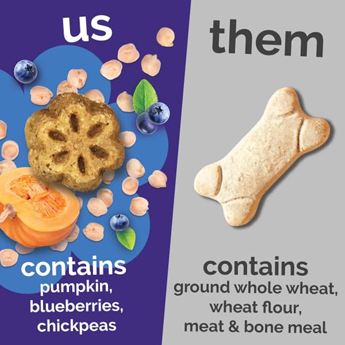 Fruitables Skinny Mini Dog Treats (3 Cal) – Healthy Soft Training Treats – Pumpkin & Blueberry, 5 oz (4 Pack)