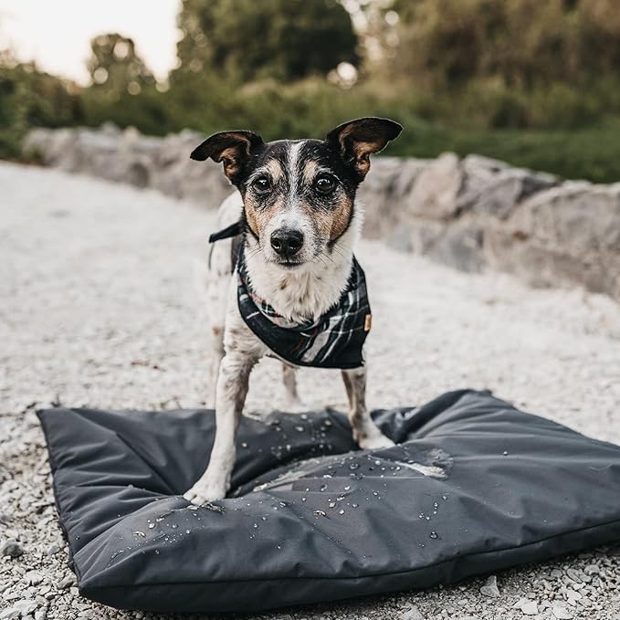 Dog Bed Cover Replacement Washable 44" L x 32" W x 4" H for Orthopedic, Cooling Gel and Memory Foam Pet Bed, Waterproof 600D Oxford Fabric, Cover Only (Black)