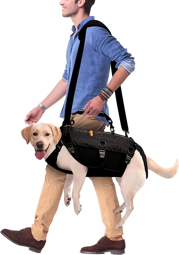 NeoAlly Sturdy Dog Lift Harness Full Body Support & Mobility Aids System - 5-in-1 Lifting Support, Carry Sling, Vest Harness, Back Brace, and Anxiety Vest - Endorsed by Shark Tank (Small)