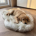 IHAPPYDOG Luxury Faux Fur Orthopedic Dog Bed, Memory Foam Dog Bed for Small, Medium, Large and XL Pets, Fluffy Pet Bed with Waterproof and Washable Cover (White w/Brown Tips, 30"x20")