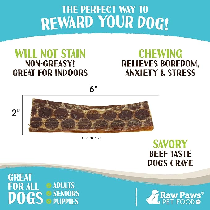 Raw Paws Beef Esophagus Strips for Dogs, 6-inch (20-Count) - All Natural Chews - Free-Range Beef Esophagus Strips - Dog Taffy Chews - Single Ingredient Chew for Dogs - Cow Jerky Treats