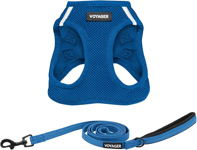Best Pet Supplies Voyager Step-in Air All Weather Mesh Harness and Reflective Dog 5ft Leash Combo with Neoprene Handle, for Small, Medium and Large Breed Puppies - Set (Royal Blue), Large