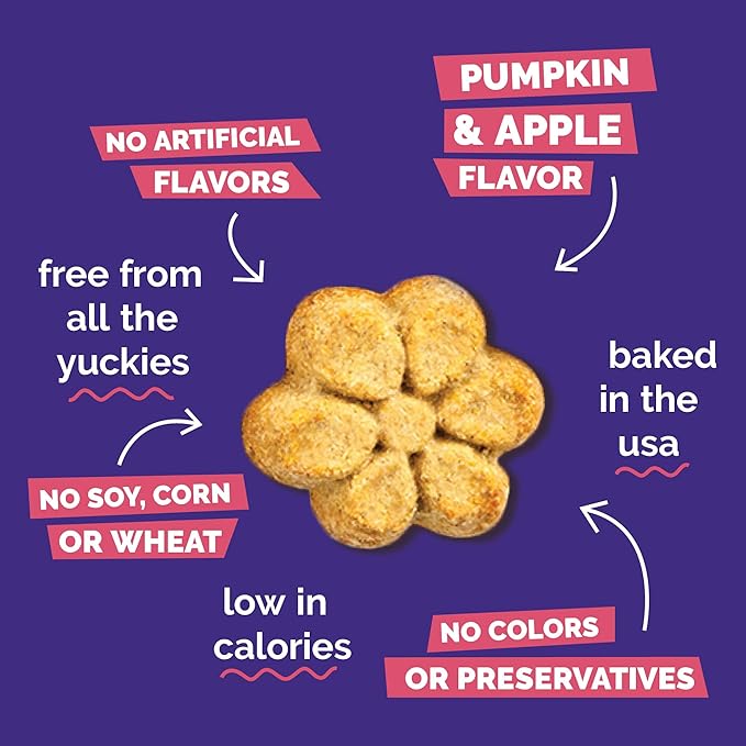 Fruitables Baked Pumpkin Dog Treats – Healthy Low-Calorie, Wheat-Free, Corn-Free, Soy-Free – Sweet Potato Training Treats for Dogs, 7 oz (10 Pack)