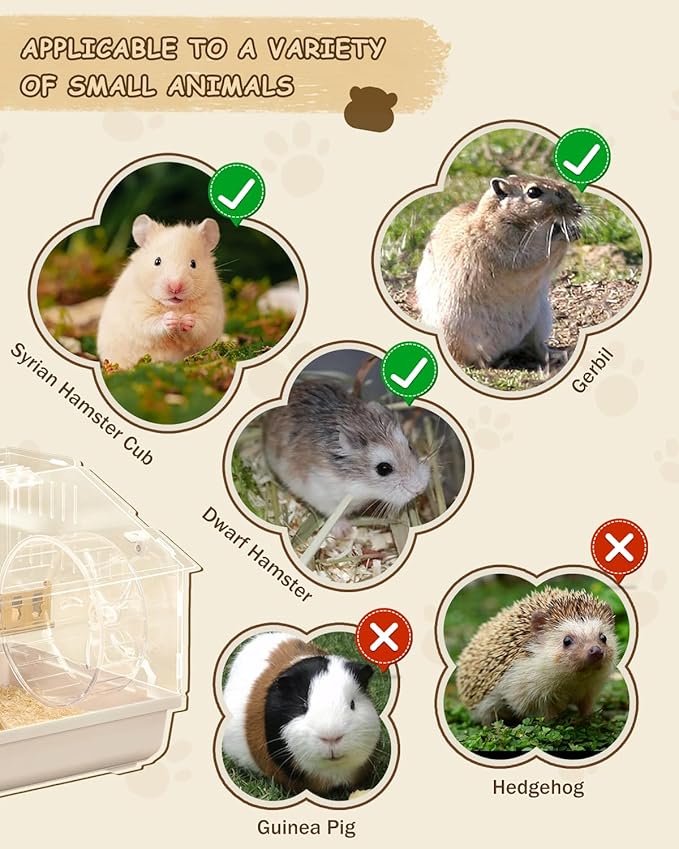 8-in-1 Acrylic Hamster Cage: 2-Layer, Clear Panels, Top-Opening, Full Accessories for Pet Mice, Hamster House for Dwarf Hamsters & Gerbils – 18.5"x11.8"x11.8"