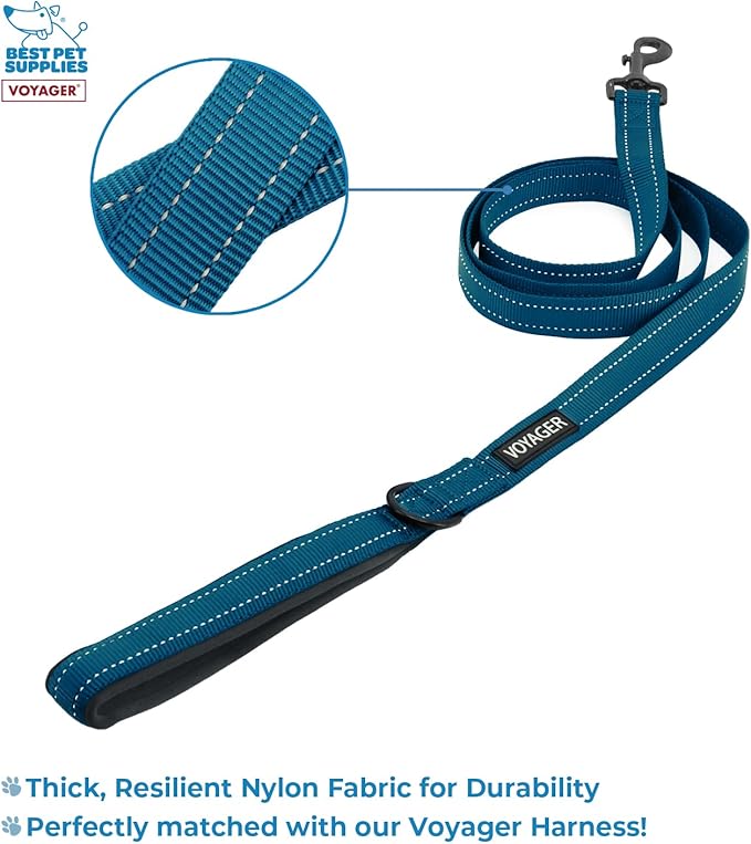 Voyager Step-in Air All Weather Mesh Harness and Reflective Dog 5 ft Leash Combo with Neoprene Handle, for Small, Medium and Large Breed Puppies by Best Pet Supplies - Blue, X-Large