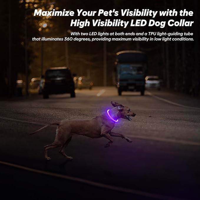 BSEEN Light Up Dog Collar, Rechargeable LED Dog Collar Light Glowing Puppy Collar for Night Walking, TPU Cuttable Lighted Pet Collar for Small Medium Large Dogs (Purple (70cm))