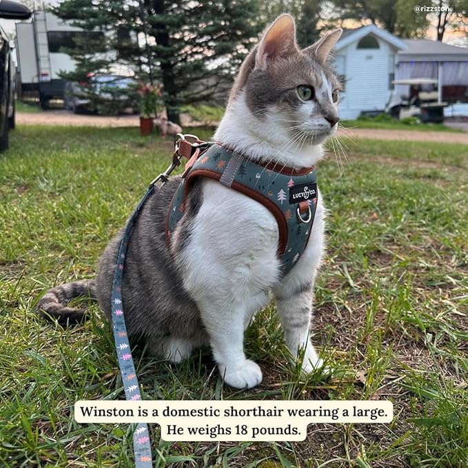 Lucy & Co. Take a Hike Step-in Cat Harness & Leash Bundle – Reflective, Breathable & Adjustable Harness for Cats, Kittens & Small Dogs, Lightweight & Secure and Dual Leash Clips – Large