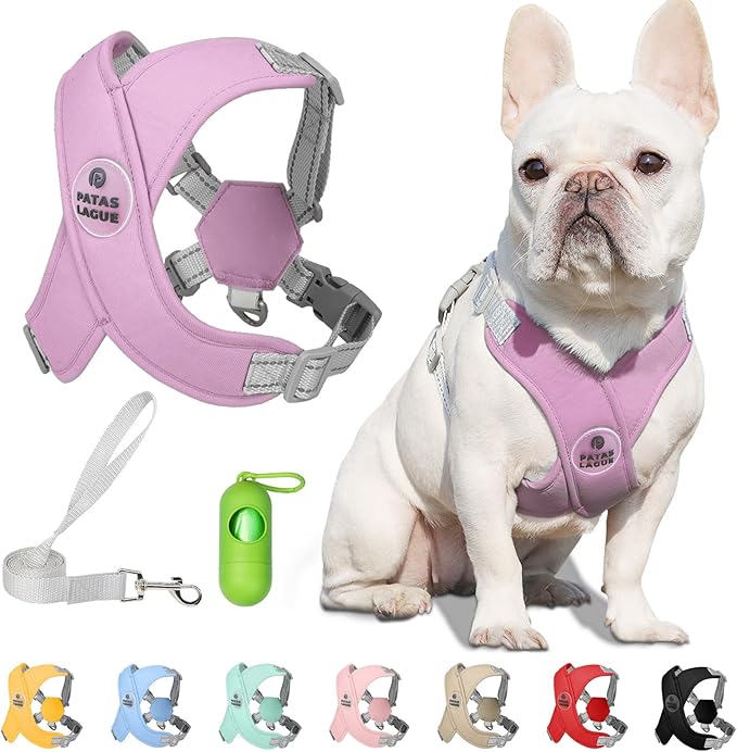 Patas Lague Dog Harness with Leash Set Adjustable Soft Padded Step-in Dog Vest No Choke No Pull Reflective for Small Medium Pets with Poop Bags and Dispenser, Solid and No-chew, Purple M