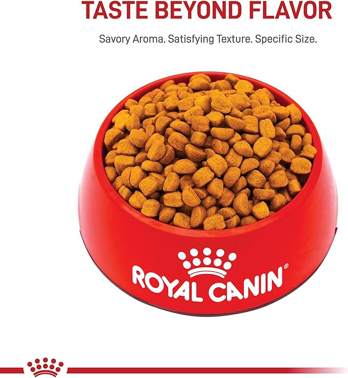 Royal Canin Breed Health Nutrition Rottweiler Puppy Dry Dog Food, 30 lb Bag