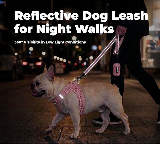 Best Pet Supplies Voyager Reflective Dog Leash or Collar with Neoprene Handle, for Small, Medium, and Large Breed Puppies, Cute and Heavy Duty for Walking, Running and Training - Pink (Leash), S