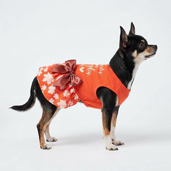 Fitwarm Thanksgiving Sweeter Than Pumpkin Pie Dog Dress 100% Cotton Puppy Costumes Pet Clothes Holiday Girl One-Piece Doggy Outfits Tank Top Vest Dresses Cat Apparel Orange Medium