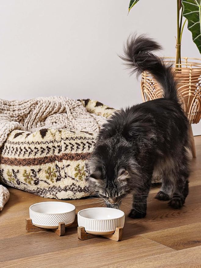 LE TAUCI PET Ceramic Dog and Cat Bowl Set with Acacia Wood Stand - 2 Cup Weighted Non-Slip Food and Water Bowls for Small Dogs & Cats, Lines + Dot
