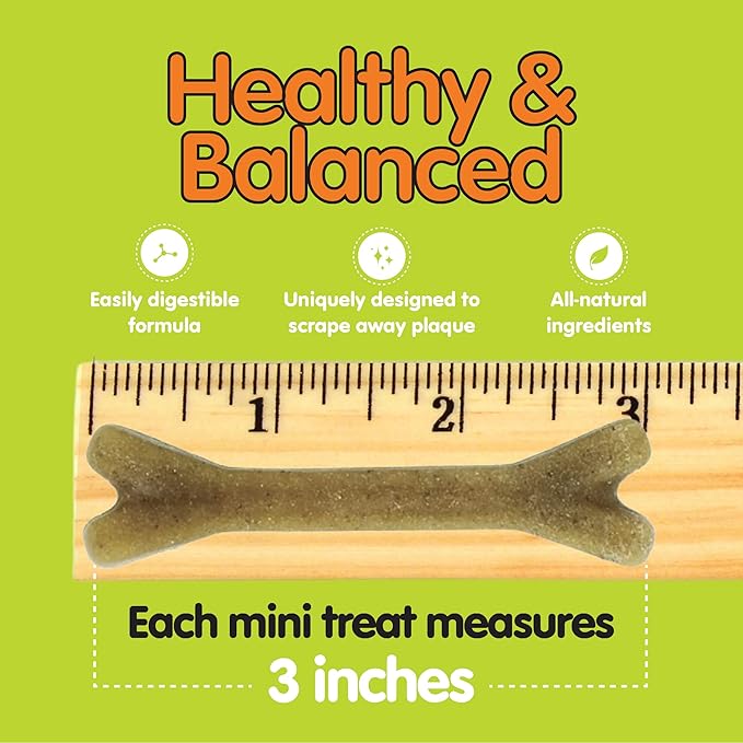 Fido - Super Breath Dental Care Bones for Dogs - 21 Count Mini Dog Dental Treats for Small Dogs (Made in USA) - Tasty Dog Dental Chews Help Reduce Plaque, Tartar Buildup, and Freshens Breath