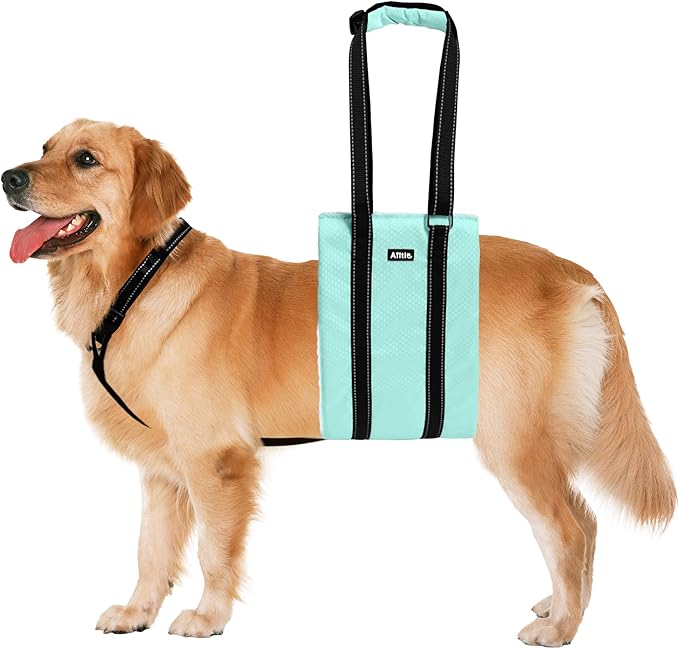 AIITLE Adjustable Anti-Slip Dog Lift Harness with Detachable Collar - Reflective Plush Dog Carrier Sling for Large Dogs, Rear Leg Support for Arthritis, Injury& Elderly Canines (Turquoise, L)
