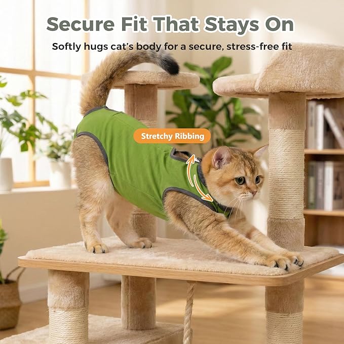 Avont Cat Recovery Suit for Surgery, Breathable Anti-Licking Onesie for Kittens, Surgical Post-Operative Protective Bodysuit, Comfortable Alternative to E-Collar -Green (S)