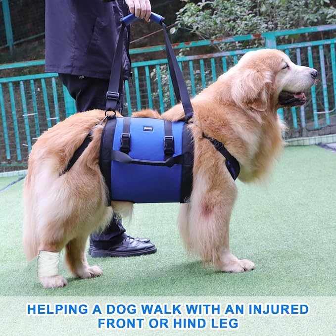Dog Carry Sling, Emergency Backpack Pet Legs Support & Rehabilitation Dog Lift Harness for Large Dogs, Dog Carrier for Senior Dogs Joint Injuries, Arthritis, Up and Down Stairs (Blue, L)