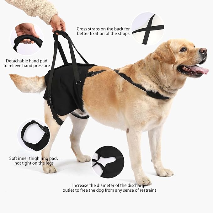 NOYAL Supet Dog Lift Sling for Large Dogs – Hind Leg Support Harness for Senior, Injured, Disabled Dogs, Rear Leg Mobility Aid, Padded Handle for Stairs, Car, Walk