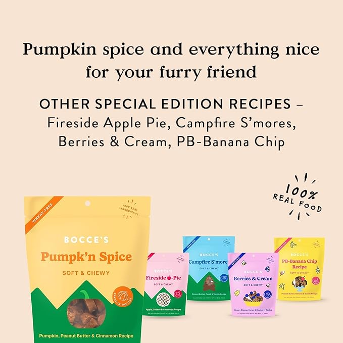 Bocce's Bakery Pumpk’n Spice Treats + Probiotic Supplement Bundle for Dogs – All-Natural, Wheat-Free Cookies & 7 Strains of Probiotics to Support Digestion – Baked in The USA with Real Ingredients