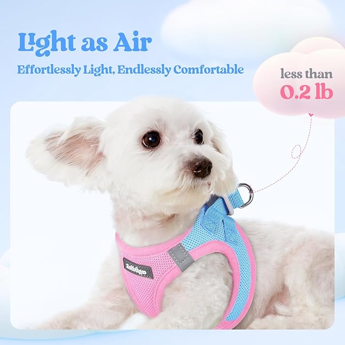 rabbitgoo Dog Harness Small Sized and Leash Set, Step in Soft Light Puppy Vest, Breathable Mesh Pet Harness, Reflective for Safe Easy Walking, Blue & Light Pink XXS