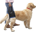 Walkabout Back End Harness, Dog and Cat Lifting Aid for Pets Needing Assistance with Walking (Medium 19-25" Abdomen)/Mobility - A Dog Support Harness for Back Legs