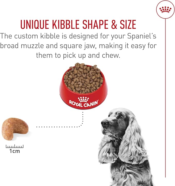 Royal Canin Breed Health Nutrition Cocker Spaniel Adult Dry Dog Food, 25 lb Bag