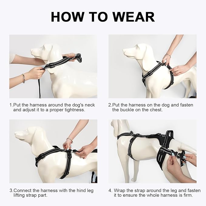 COODEO Professional Dog Sling for Hind Leg Support - Aid for Post-ACL/TPLO Surgery & Senior Dogs, Secure,Breathable & Machine-Washable with Reflective Edging for Safe Walks (Black, L)