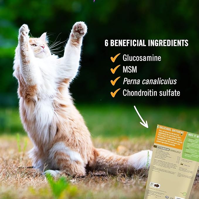 Pet Naturals Hip and Joint Supplement with Glucosamine, Green-Lipped Mussel, and Chondroitin for Cats, Duck Flavor, 160 Chews