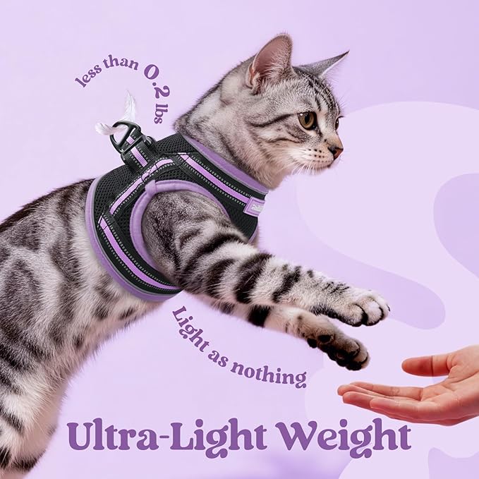 rabbitgoo Cat Harness and Leash Set for Walking Escape Proof, Adjustable Soft Kittens Vest with Reflective Strip for Cats, Comfortable Outdoor Vest, Black & Light Purple, S