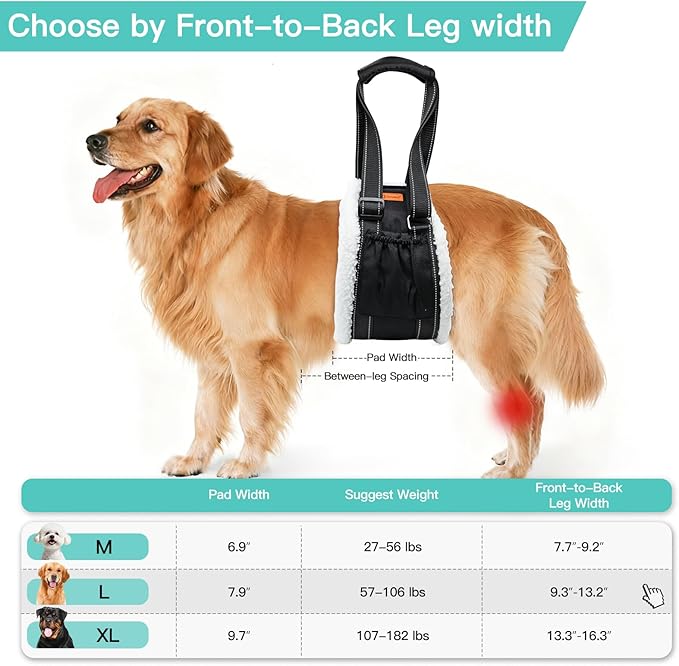LumoLeaf Dog Lift Harness Sling for Back Legs, Adjustable Rear Leg Support & Mobility Aid, Hip Support for Senior/Disabled Dogs, Soft Fleece Lining, Padded Handles, for CCL/ACL Surgery (Black, Large)