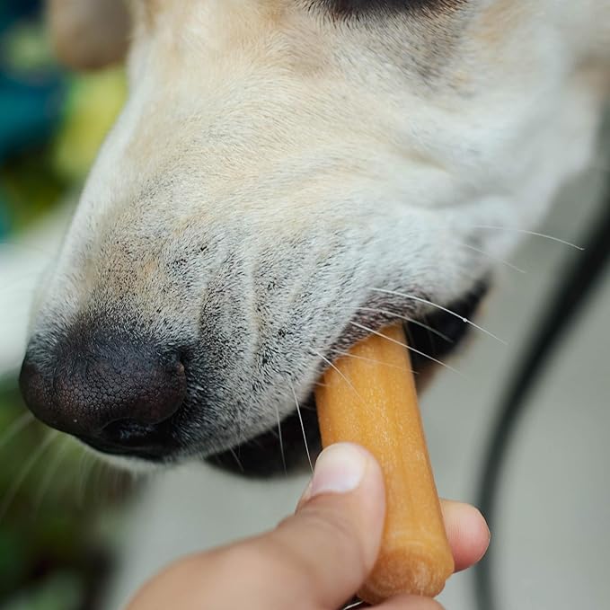 yaky CHURRO Himalayan Cheese Treats | Lactose Free - Gluten Free - Grain Free | USA Made | for All Breeds | 1 x 10 inch Churro | Real Himalayan Cheese Churro