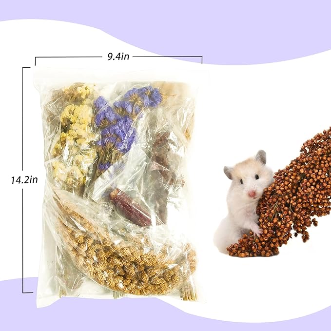 Natural Hamster Flower & Herb Habitat Deocr, Edible Hamster Sprays Flowers Bedding Mate, Hamsters Cage Enrichment Decoration Accessories for Dwarf Syrian Hamster Gerbil Mice Degus