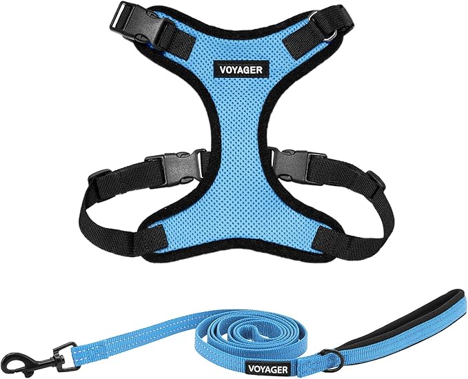 Best Pet Supplies Voyager Step-in Lock Pet Harness w Reflective Pet Leash Combo Set with Neoprene Handle 5ft - Supports Small, Medium and Large Breed Puppies/Cats - Baby Blue/Black Trim Set, XL