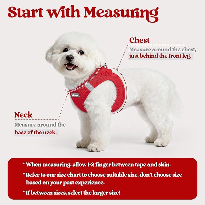 rabbitgoo Dog Harness Small Sized and Leash Set, Step in Soft Light Puppy Vest, Breathable Mesh Pet Harness, Reflective for Safe Easy Walking, Red XS